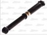 Magnum Technology AGG117MT amortizatorius 
 Pakaba -> Amortizatorius
1121861, 1130118, 1S71180008AA