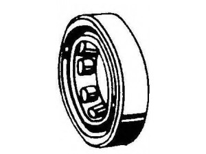 DELCO REMY 19024918 guolis