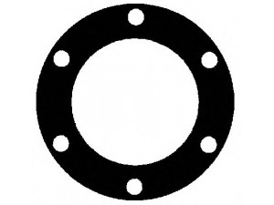 ELRING 314.812 tarpiklis, kroviklis 
 Išmetimo sistema -> Turbokompresorius
1302 930, 51.08901-0096, 51.15901-0031