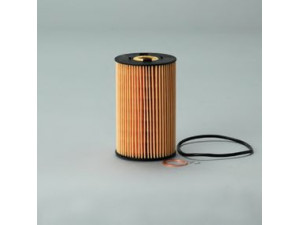 DONALDSON P550769 alyvos filtras 
 Techninės priežiūros dalys -> Techninės priežiūros intervalai
2191P550769, CH9558, 0001802109