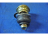PARTS-MALL PXCJA-026 atramos/vairo trauklė
544303F600