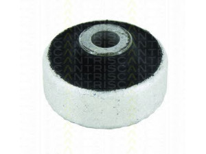 TRISCAN 8500 29881 valdymo svirties/išilginių svirčių įvorė 
 Ašies montavimas/vairavimo mechanizmas/ratai -> Valdymo svirtis/pasukamosios svirties sujungimas -> Montavimas/sutvirtinimas
6R0 407 181 B, 8N0 407 181, 8N0 407 181 B