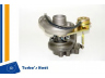 TURBO S HOET 1100085 kompresorius, įkrovimo sistema 
 Išmetimo sistema -> Turbokompresorius
195490809000, 46234254, 495490809000