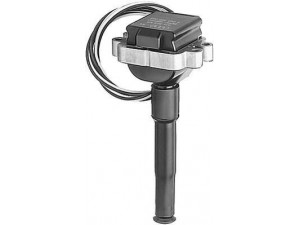 BERU ZS009 ritė, uždegimas