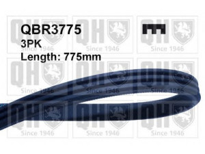 QUINTON HAZELL QBR3775 V formos rumbuoti diržai 
 Techninės priežiūros dalys -> Techninės priežiūros intervalai
31110PE1661, 31110PM3004, 7700271218