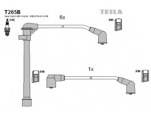TESLA T265B uždegimo laido komplektas 
 Kibirkšties / kaitinamasis uždegimas -> Uždegimo laidai/jungtys
22450-98E25