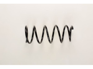 BILSTEIN 36-217236 spyruoklė 
 Pakaba -> Spyruoklės
54010-00QAN, 77 00 311 493