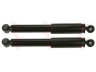 amortizatorius