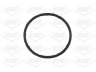 KWP 10765 vandens siurblys 
 Aušinimo sistema -> Vandens siurblys/tarpiklis -> Vandens siurblys
036 121 005F, 036 121 005P, 036 121 008G
