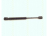 dujinė spyruoklė, gaubtas