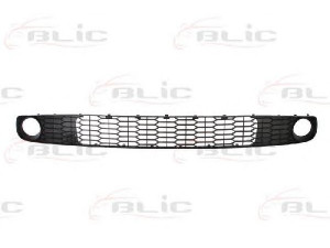 BLIC 6502-07-6030911P ventiliacijos grotelės, buferis
8200872966