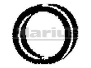 KLARIUS PGR2 laikiklis, išmetimo sistema
5503569, 7910009543, 175508, 7910009543