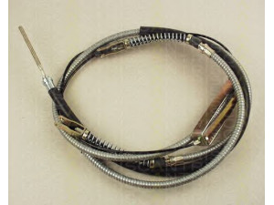 TRISCAN 8140 17110 trosas, stovėjimo stabdys 
 Stabdžių sistema -> Valdymo svirtys/trosai
GVC1027, NAM5725