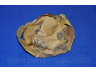 PARTS-MALL PHT-001 vandens siurblys 
 Aušinimo sistema -> Vandens siurblys/tarpiklis -> Vandens siurblys
06A121011C, 06A121011E, 06A121011F