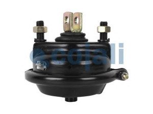 COJALI 2251105 diafragm. stabdžių cilindras
81 51101 6078, 81 51101 6102, 81 51101 6108