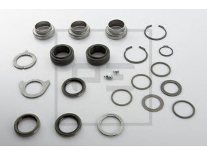 PE Automotive 016.102-00A remonto komplektas, skėčiamojo kumštelio velenas
360 420 03 41, 360 586 03 42