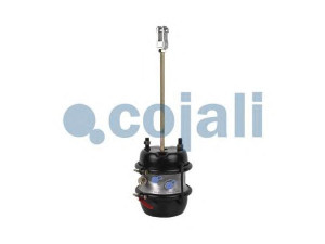 COJALI 2251427 daugiafunkcis stabdžių cilindras