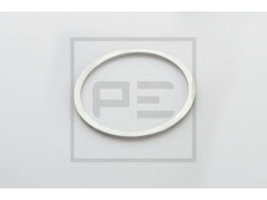 PE Automotive 011.472-00A tarpiklis