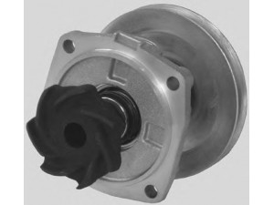 OPEN PARTS WAP8096.00 vandens siurblys 
 Aušinimo sistema -> Vandens siurblys/tarpiklis -> Vandens siurblys
0004408201, 0005936404, 0005960469