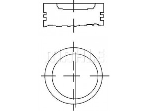 MAHLE ORIGINAL S70690 stūmoklis 
 Variklis -> Cilindrai/stūmokliai
030.107103EQ
