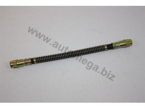 AUTOMEGA 304806075 stabdžių žarnelė 
 Stabdžių sistema -> Stabdžių žarnelės
480675, 480675