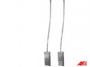 AS-PL AB2005 anglies šepetėlis, kint. sr. generatorius
5-80215013-0, 5-81215012-0, 5-81215013-0