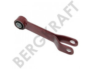 BERGKRAFT BK6120234 šarnyro stabilizatorius
41000480, 42551218