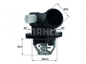 MAHLE ORIGINAL TM 32 103 termostatas, aušinimo skystis 
 Aušinimo sistema -> Termostatas/tarpiklis -> Thermostat
1336Y8, 1336Z2, 9650926280, 1336Y8