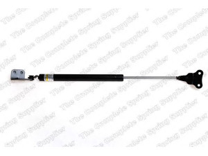 ROC GS1059 dujinė spyruoklė, gaubtas 
 Kėbulas -> Dujinės spyruoklės
81160-H1000