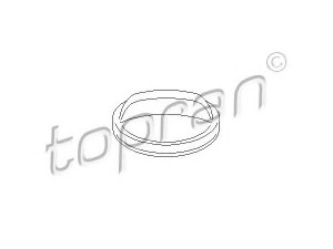 TOPRAN 400 436 dangtelis, degalų bakas 
 Degalų tiekimo sistema -> Kuro bakas/dalys
1 179 459, 1 179 872, 1 468 059