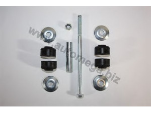 AUTOMEGA 3016030149 skersinio stabilizatoriaus komplektas
1603149, 1603149, 1603149, 90009368