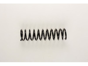 BILSTEIN 36-153961 spyruoklė 
 Pakaba -> Spyruoklės
33 53 1 125 327