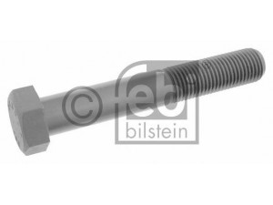 FEBI BILSTEIN 22599 varžtas