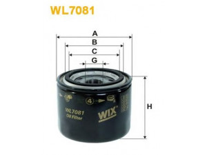 WIX FILTERS WL7081 alyvos filtras 
 Filtrai -> Alyvos filtras
OK101, X118, X120, X88, X92, PW510253