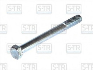 S-TR STR-4M20X200 lingės varžtas