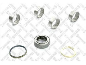 STELLOX 84-16078-SX remonto komplektas, pasukamojo kakliuko kaištis 
 Ašies montavimas/vairavimo mechanizmas/ratai -> Pasukamojo kakliuko remonto rinkinys -> Remonto komplektas, karbiuratorius
6553300419