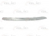 priekinis variklio gaubtas