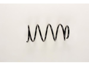 BILSTEIN 36-215249 spyruoklė 
 Pakaba -> Spyruoklės
96424024