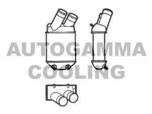 AUTOGAMMA 101493 tarpinis suslėgto oro aušintuvas, kompresorius 
 Variklis -> Oro tiekimas -> Įkrovos agregatas (turbo/superįkrova) -> Tarpinis suslėgto oro aušintuvas
7700838130, 8200047162, 8200175069
