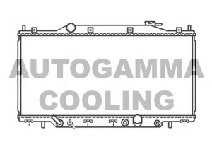 AUTOGAMMA 107022 radiatorius, variklio aušinimas
19010PNC902, 19010PNCJ52