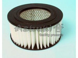 ASHUKI 0396-3202 oro filtras 
 Filtrai -> Oro filtras
08109431/MAHLE, 17801-22000, 17801-41100