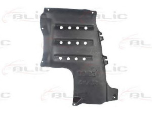 BLIC 6601-02-3720877P variklio dangtis 
 Variklis -> Variklio dangtis
911611