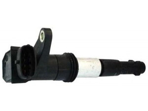 MAGNETI MARELLI 060717141012 ritė, uždegimas
46794782