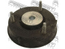 FEBEST FDSS-TR montavimas, amortizatoriai
4706416