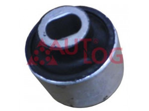 AUTLOG FT2152 valdymo svirties/išilginių svirčių įvorė 
 Ašies montavimas/vairavimo mechanizmas/ratai -> Valdymo svirtis/pasukamosios svirties sujungimas -> Montavimas/sutvirtinimas
2113331114, 2303330614