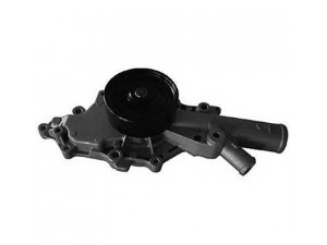 MAGNETI MARELLI 352316170701 vandens siurblys
6132000901