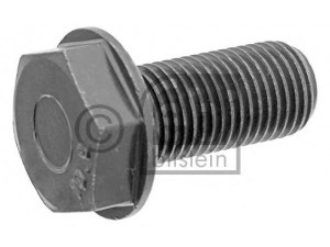 FEBI BILSTEIN 44157 smagračio varžtas
51.90020.0335, 61.90020.0335, 51.90020.0335