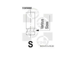BGA V165660 įleidimo vožtuvas 
 Variklis -> Variklio uždegimo laiko reguliavimo kontrolė -> Vožtuvų eilė -> Vožtuvai/dalys
22211-2B000
