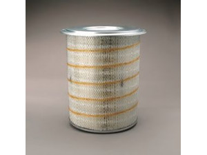 DONALDSON P181137 oro filtras 
 Filtrai -> Oro filtras
505576, 10947904, 120948702, 0607179