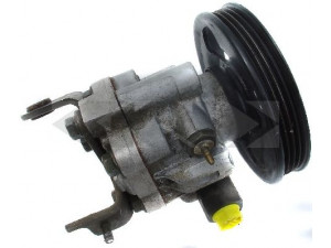 SPIDAN 53626 hidraulinis siurblys, vairo sistema 
 Vairavimas -> Vairo pavara/siurblys
F4ZZ3A674A